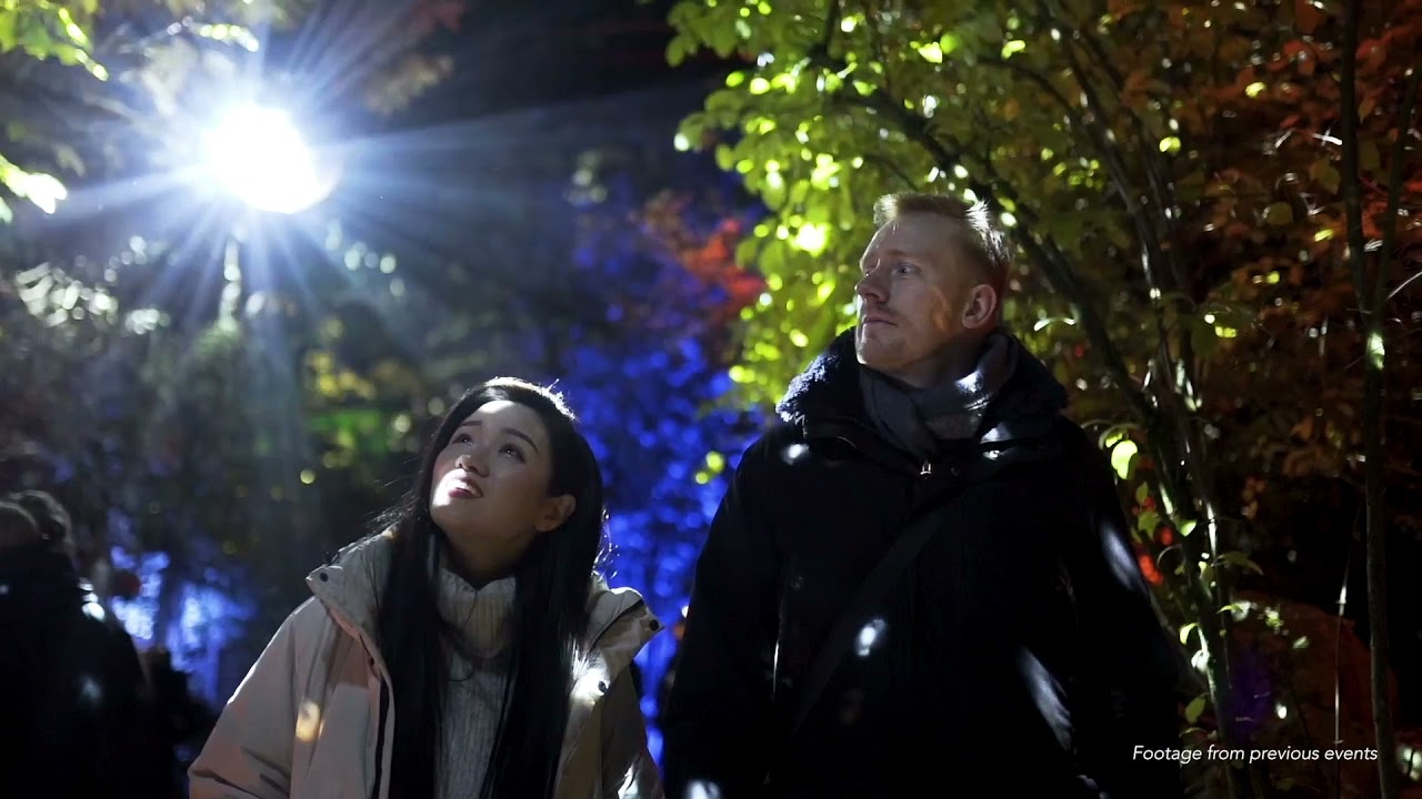 découvrez des solutions d’éclairage créatif à saint-cloud pour sublimer vos espaces intérieurs et extérieurs. profitez de conseils d’experts et d’installations personnalisées pour une ambiance lumineuse unique.