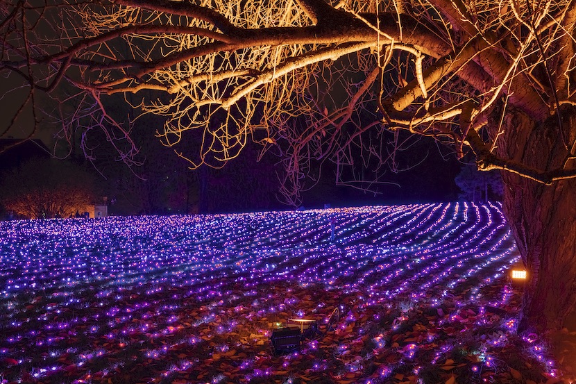 découvrez nos solutions d’éclairage créatif à saint-cloud pour sublimer vos espaces intérieurs et extérieurs. design unique, installations sur mesure et ambiance personnalisée.