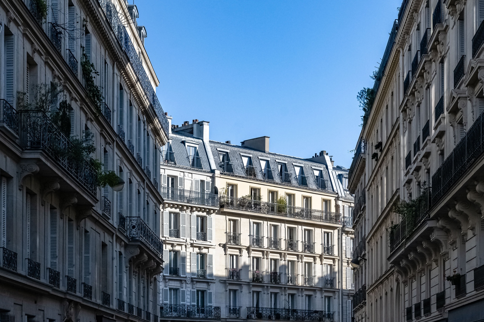 découvrez nos conseils et services pour la rénovation d'appartement à paris en 2025. transformez votre espace avec des solutions sur mesure, de l'aménagement à la décoration, pour un intérieur tendance et fonctionnel.