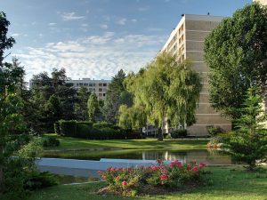 découvrez comment réussir votre projet de rénovation à meudon grâce à nos conseils pratiques, idées inspirantes et exemples concrets pour transformer votre intérieur avec succès.