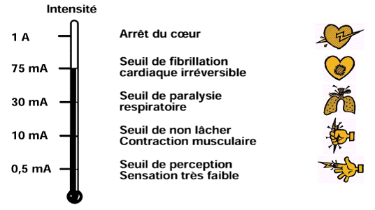 découvrez comment renforcer la sécurité électrique tout en maximisant la valeur de vos installations électriques. conseils, normes et bonnes pratiques pour une électricité fiable et protégée.