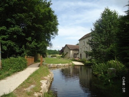 découvrez moigny-sur-école, un charmant village niché au cœur de la nature, idéal pour les amoureux de paysages authentiques et de tranquillité.